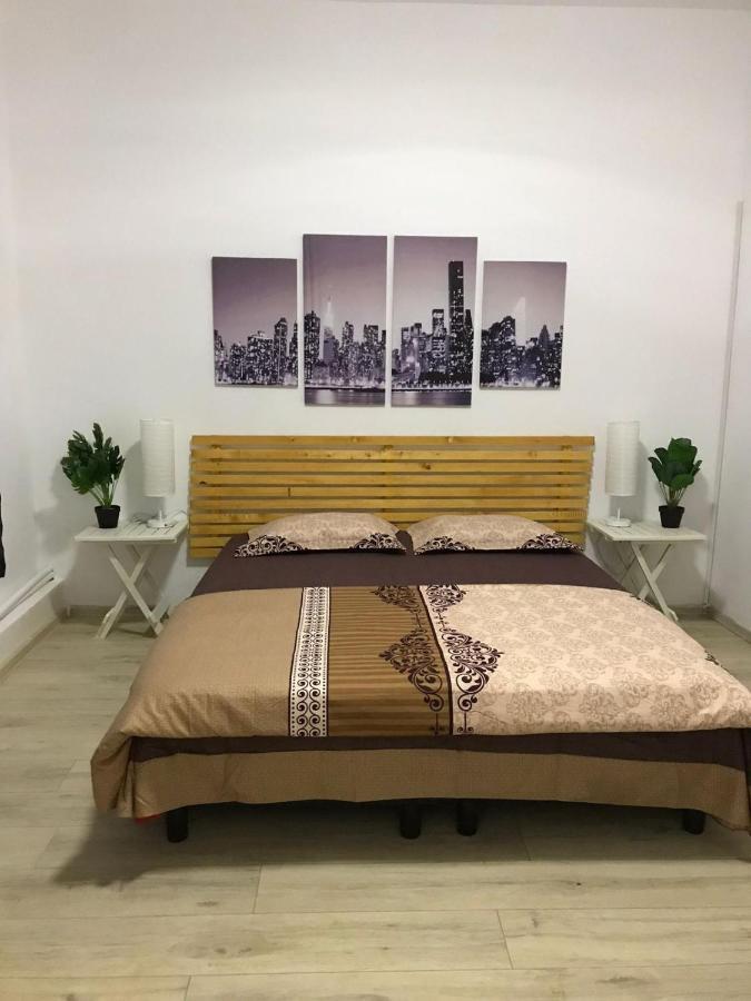 Large Apartment City Centre Bucureşti Ngoại thất bức ảnh